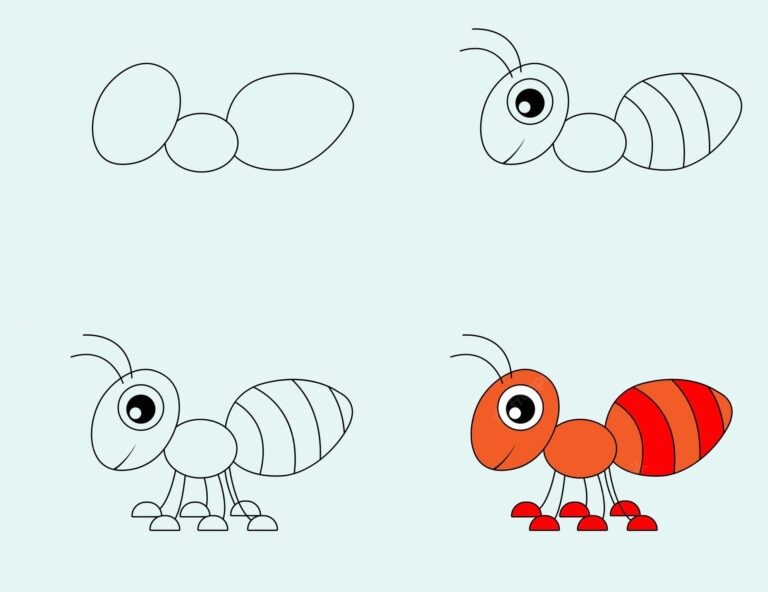 How to draw Ant idea (3)