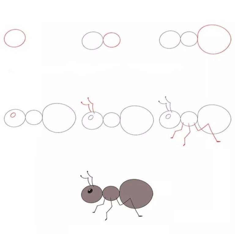 How to draw Ant idea (4)