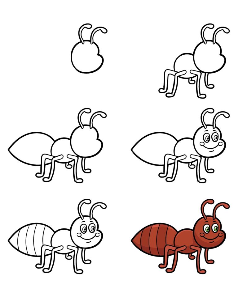 How to draw Ant idea (5)