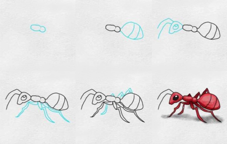 How to draw Ant idea (6)