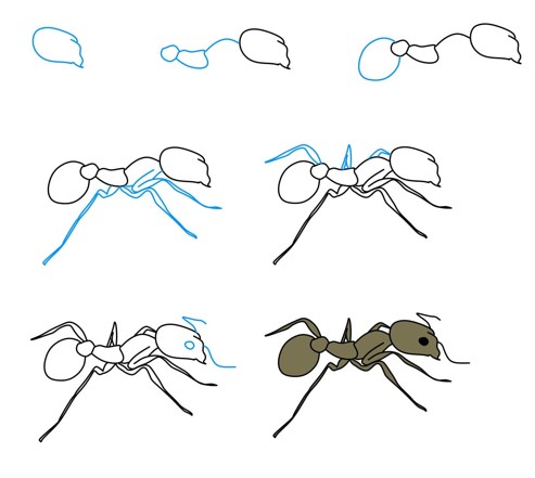 How to draw Ant idea (7)