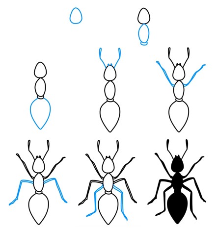 How to draw Ant idea (8)