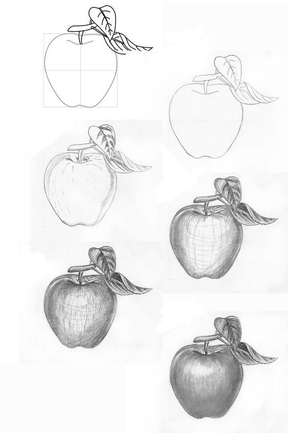 How to draw Apple idea (5)