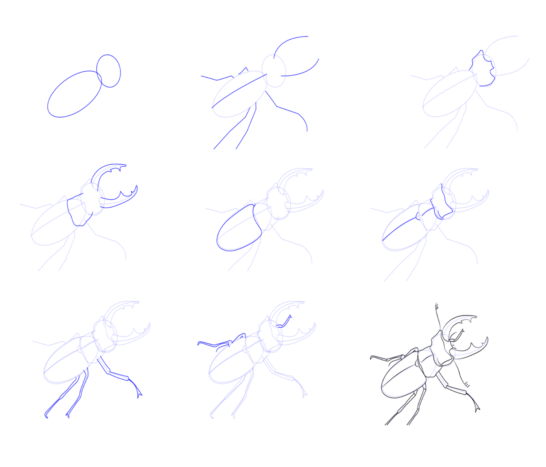 How to draw Beetle idea (1)