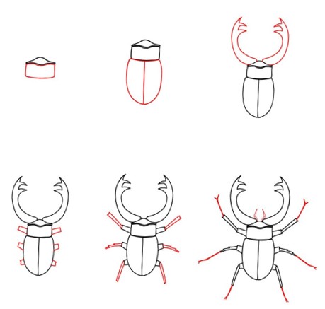 How to draw Beetle idea (10)