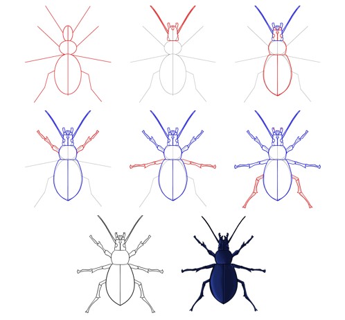 How to draw Beetle idea (11)