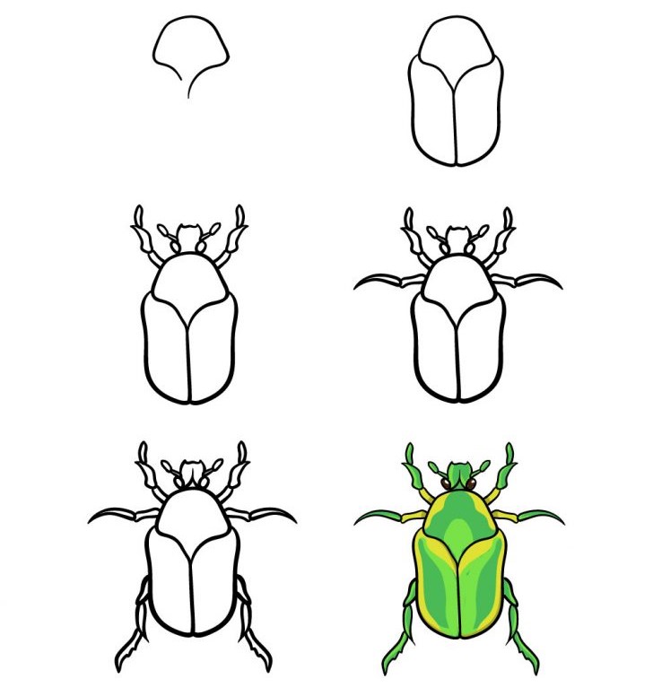 How to draw Beetle idea (15)