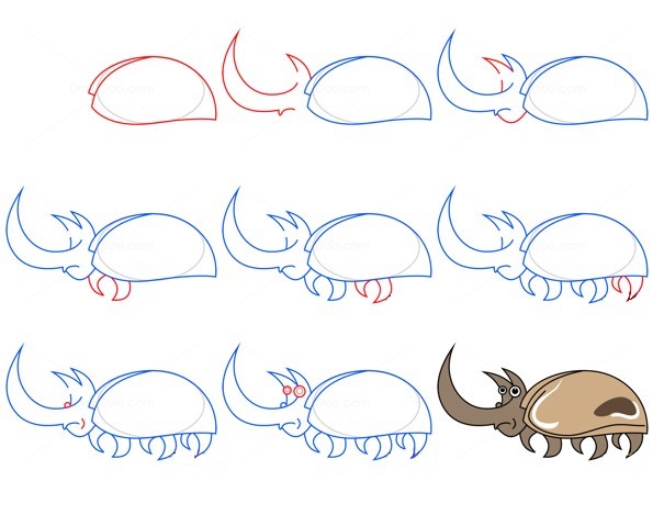 Beetle idea (16) Drawing Ideas