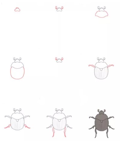 How to draw Beetle idea (18)