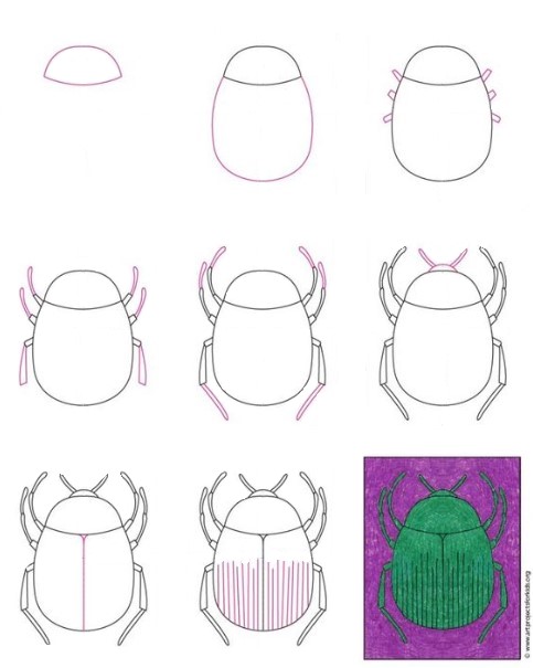 Beetle idea (19) Drawing Ideas