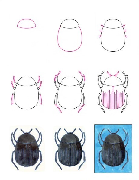 How to draw Beetle idea (2)