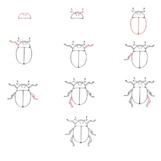 How to draw Beetle idea (3)