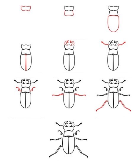How to draw Beetle idea (4)