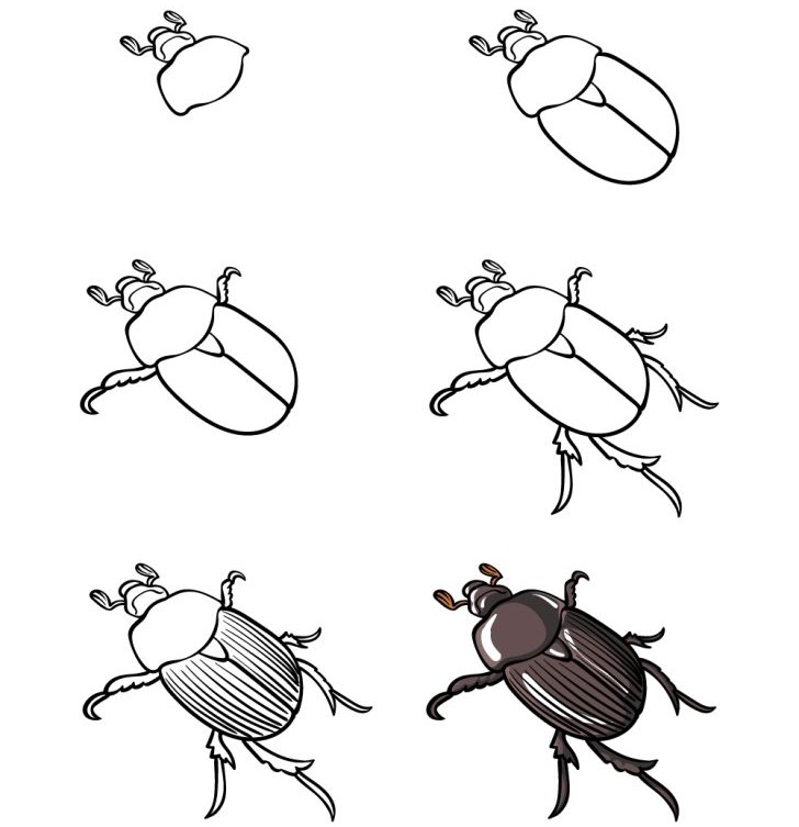 How to draw Beetle idea (5)