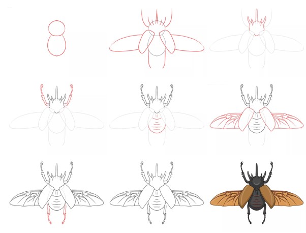 How to draw Beetle idea (6)