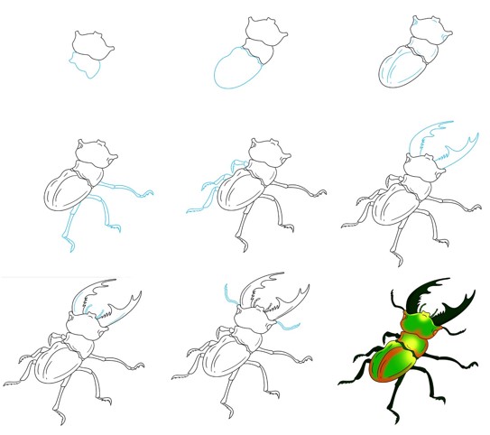 How to draw Beetle idea (7)