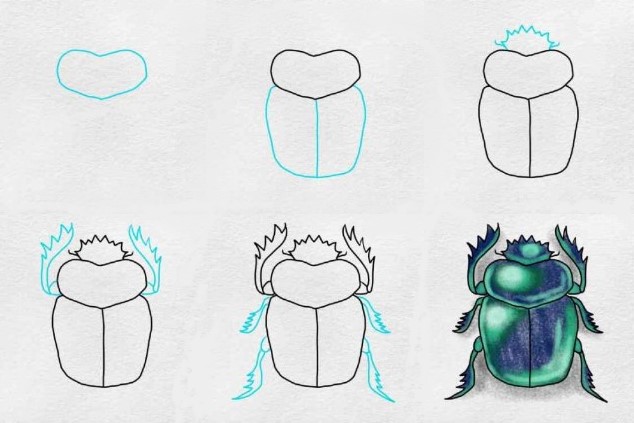 How to draw Beetle idea (8)