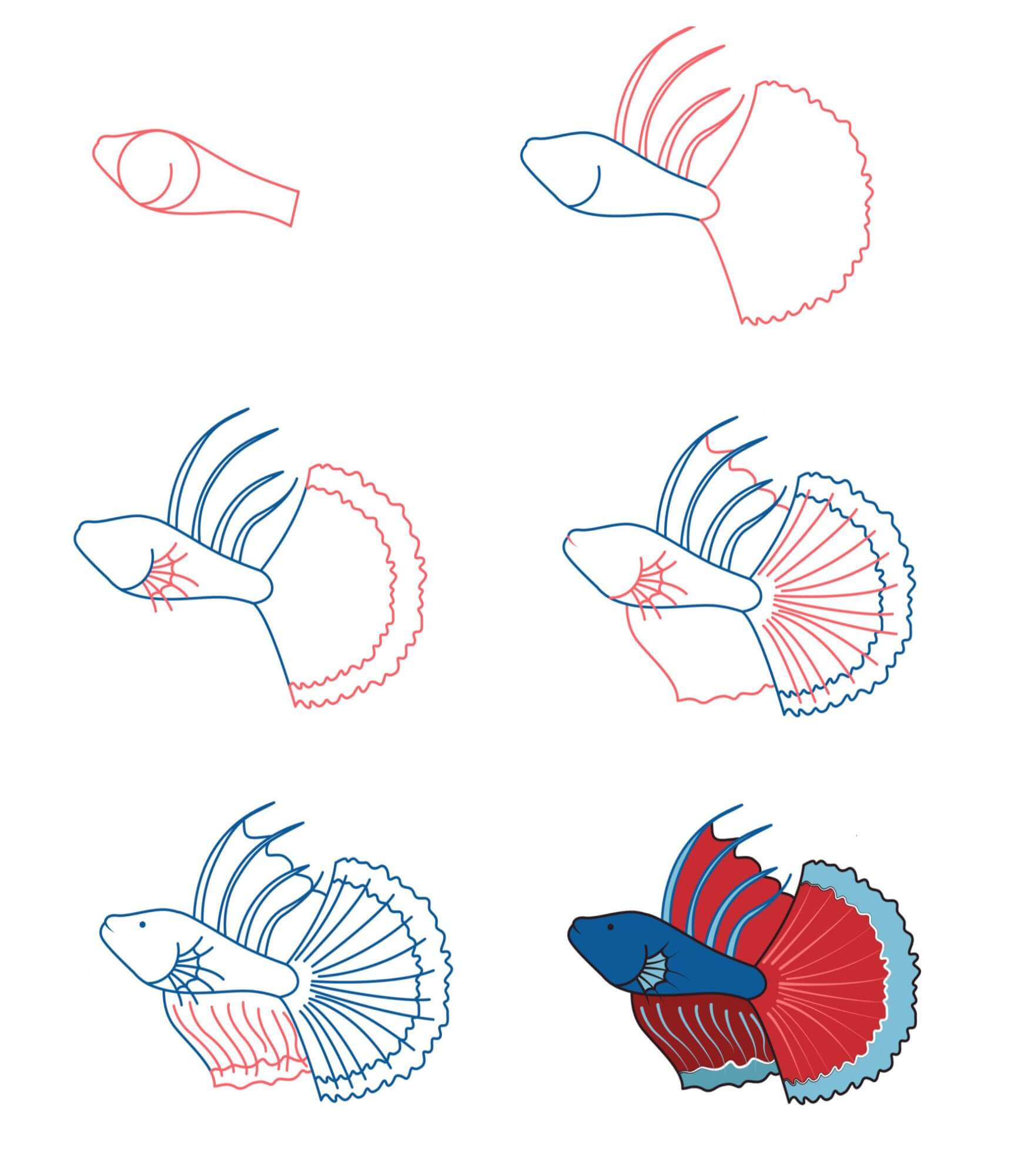 How to draw Betta fish