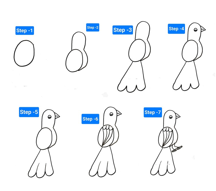 How to draw Bird (51)