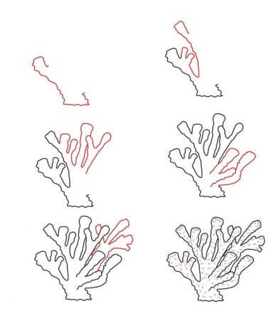bubble coral Drawing Ideas