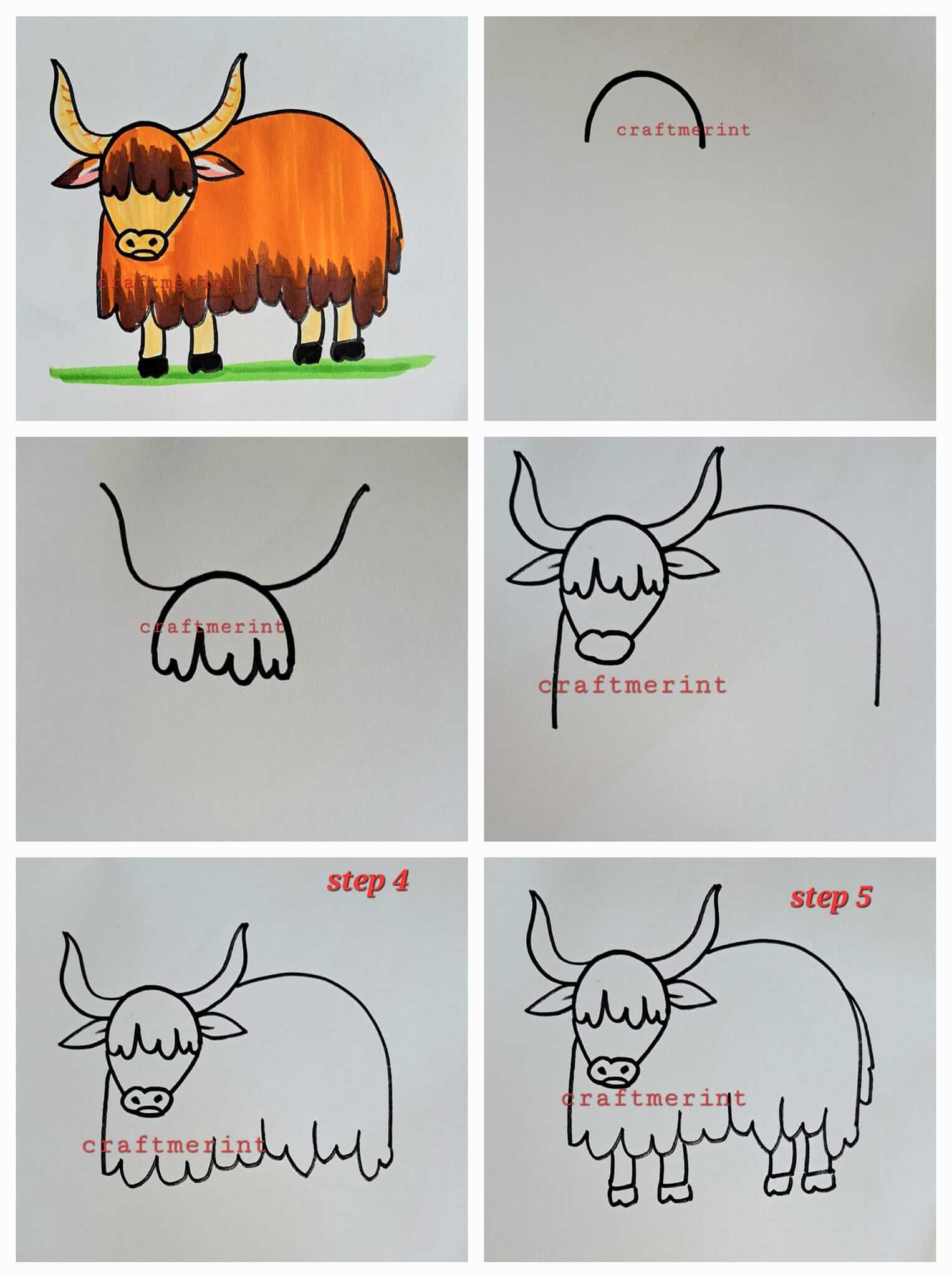 How to draw Buffalo idea