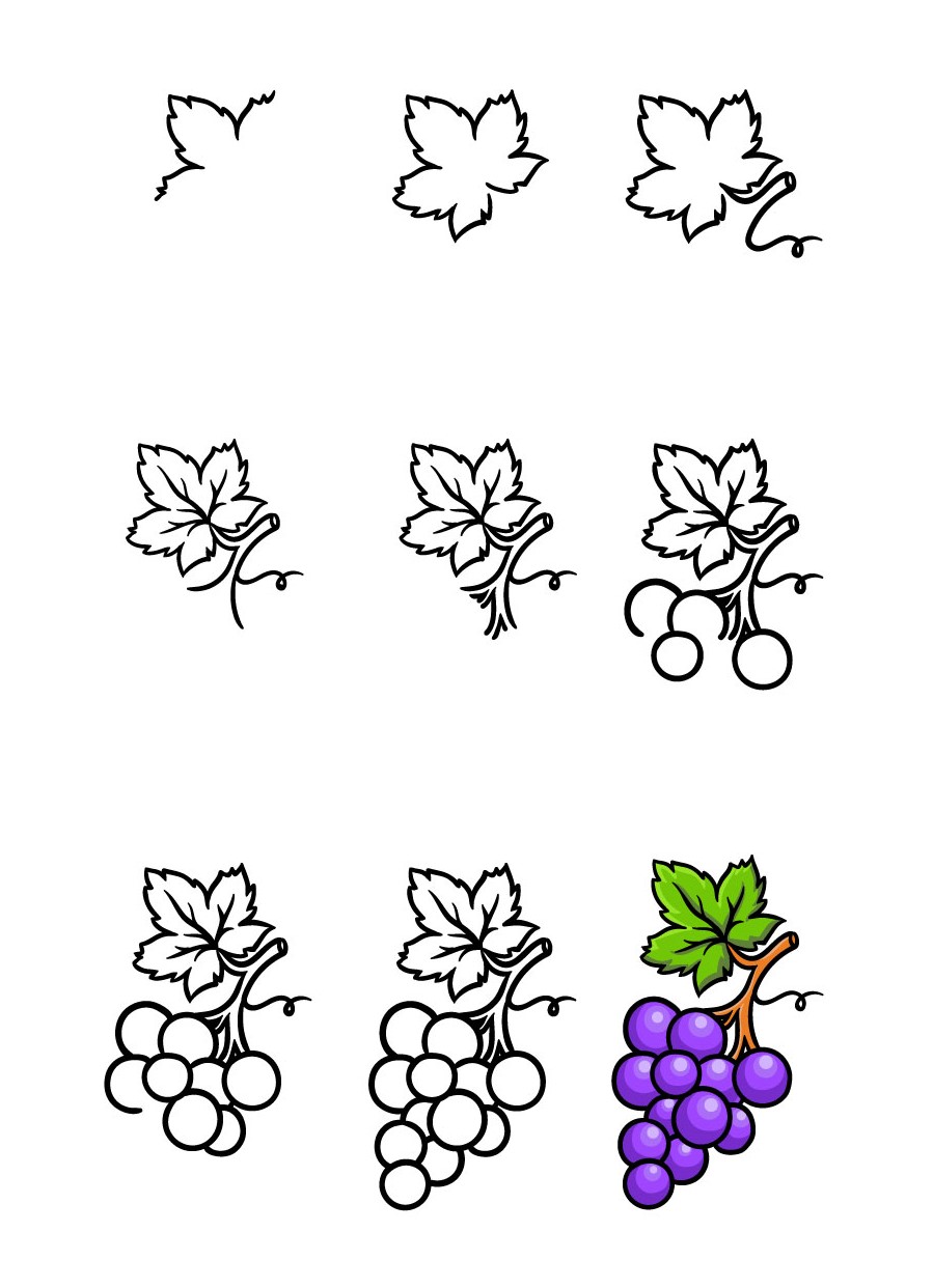 How to draw Bunch of grapes