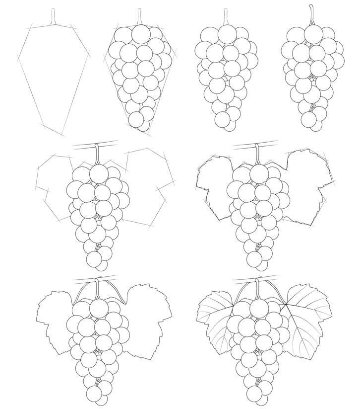 Bunch of grapes idea (1) Drawing Ideas