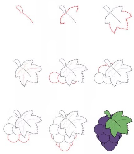 Bunch of grapes Drawing Ideas