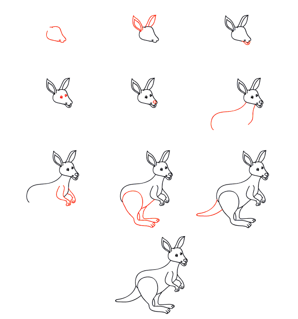 Cartoon kangaroo Drawing Ideas