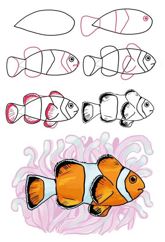 Clownfish 1 Drawing Ideas
