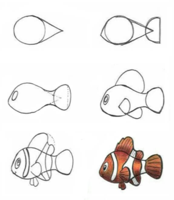 How to draw Clownfish 2