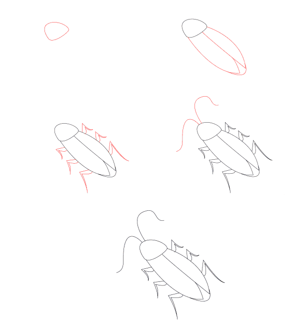 How to draw Cockroach