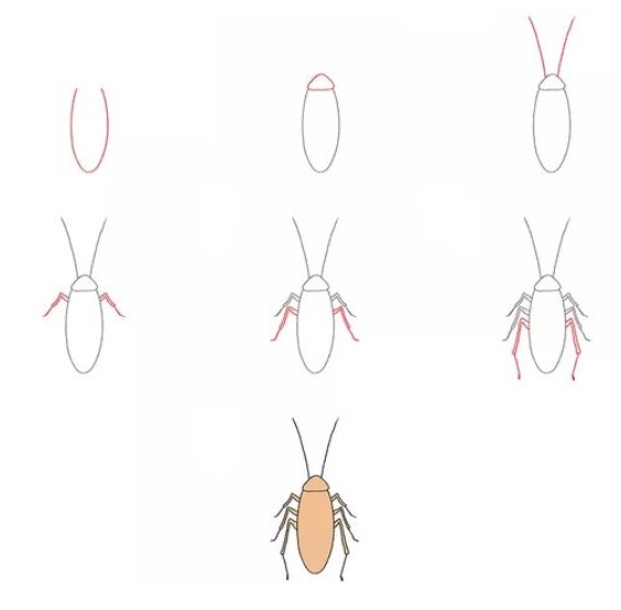 How to draw Cockroaches idea 1