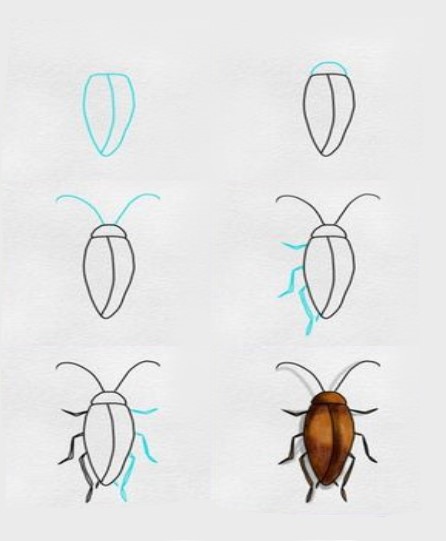 How to draw Cockroaches idea 2