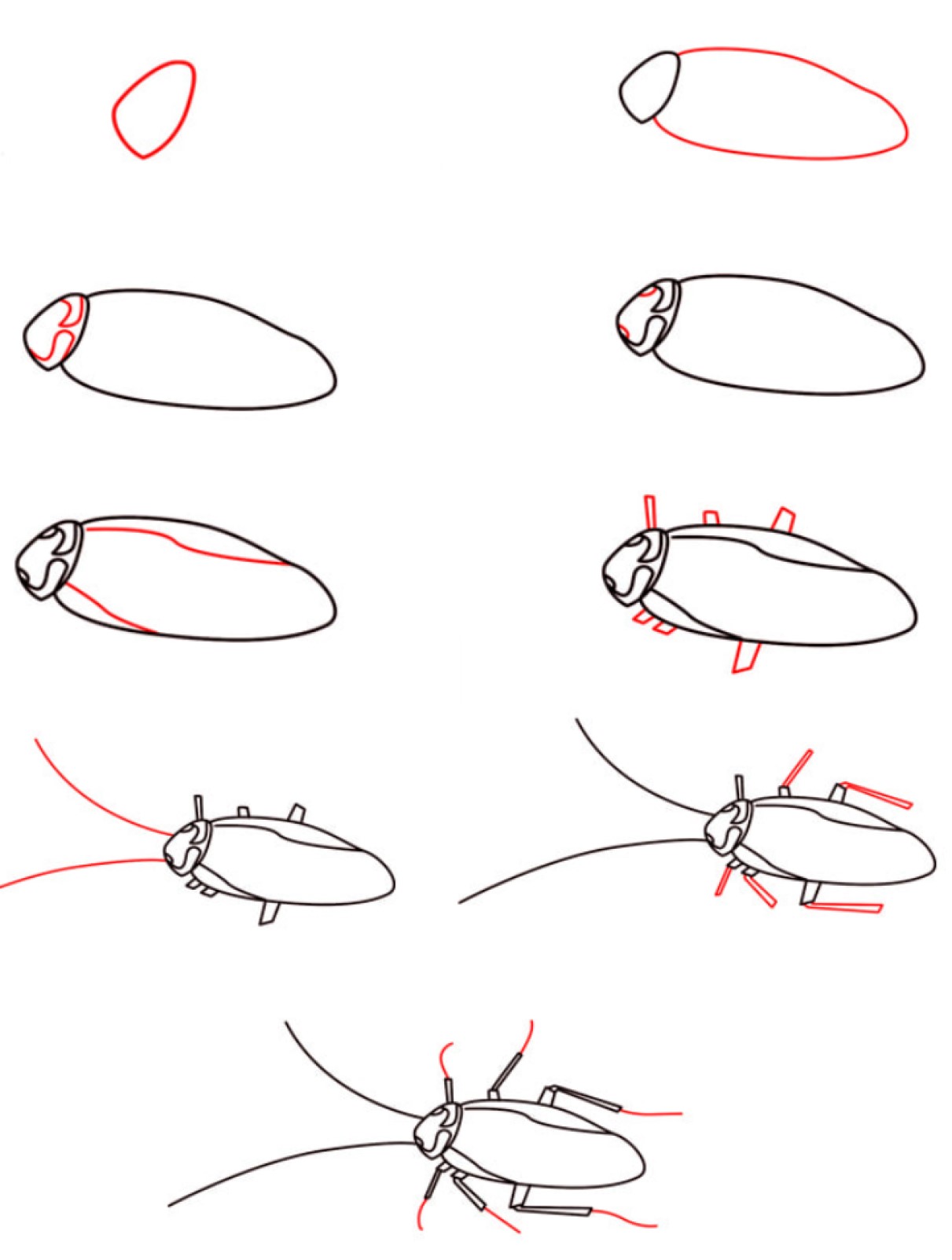 How to draw Cockroaches idea 4