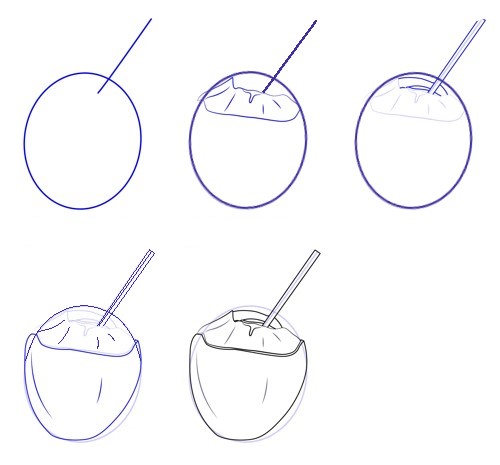 Coconut idea (4) Drawing Ideas