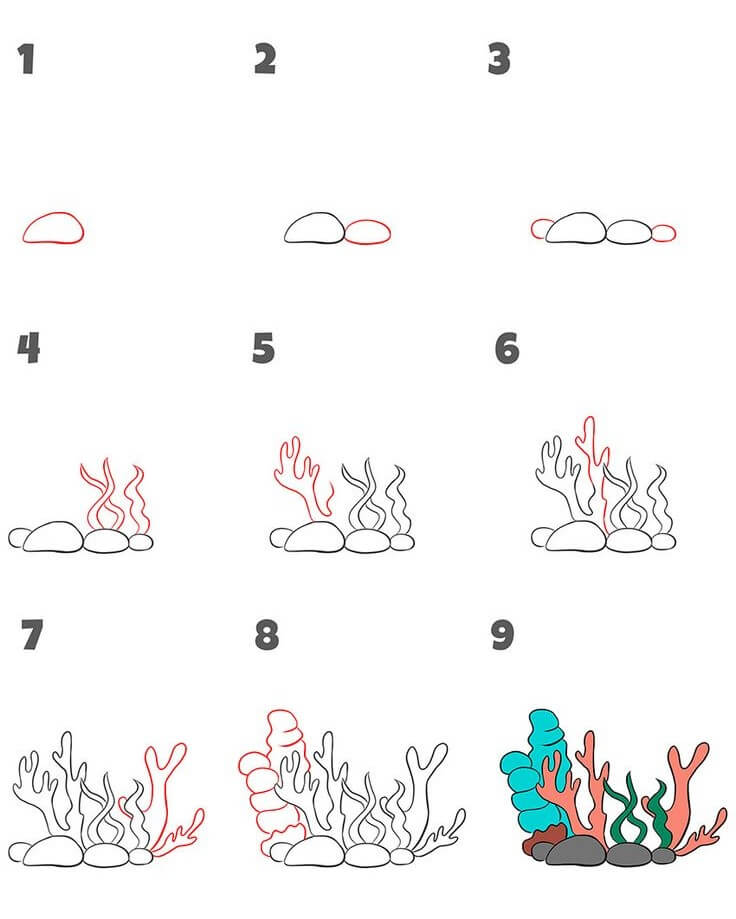 Coral Drawing Ideas