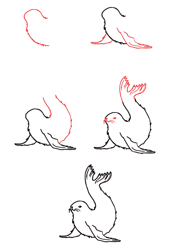 How to draw Cute seal