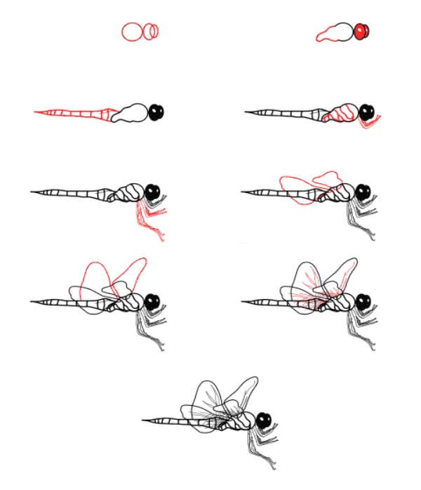 How to draw Dragonfly idea 17
