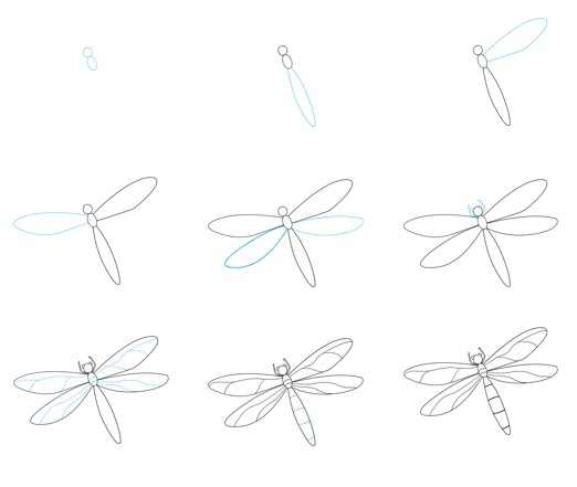 Dragonfly idea 2 Drawing Ideas