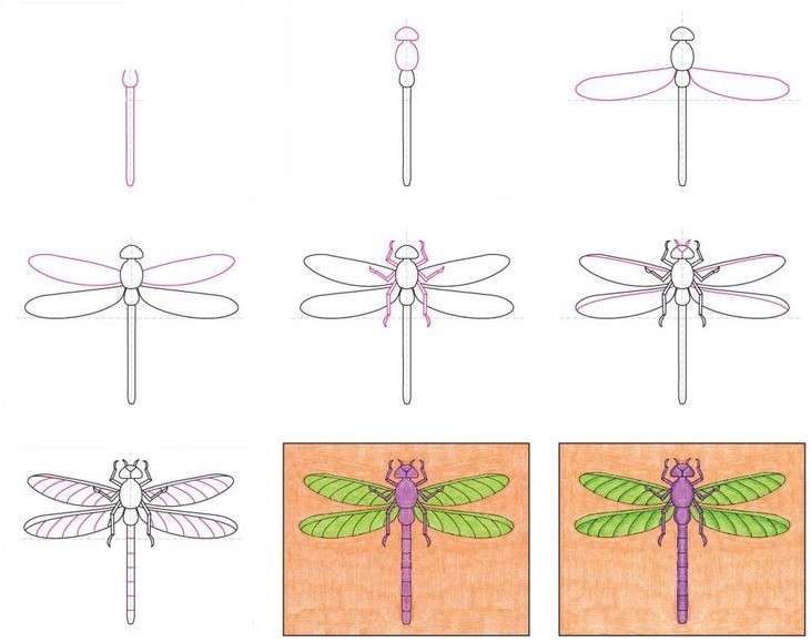 Dragonfly idea 23 Drawing Ideas