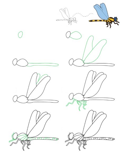 How to draw Dragonfly idea 25