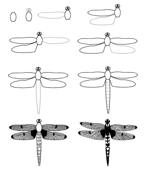 How to draw Dragonfly idea 28