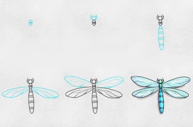 Dragonfly idea 9 Drawing Ideas