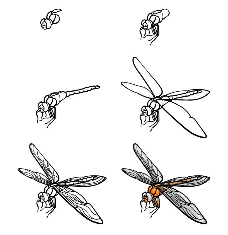How to draw Dragonfly idea 30