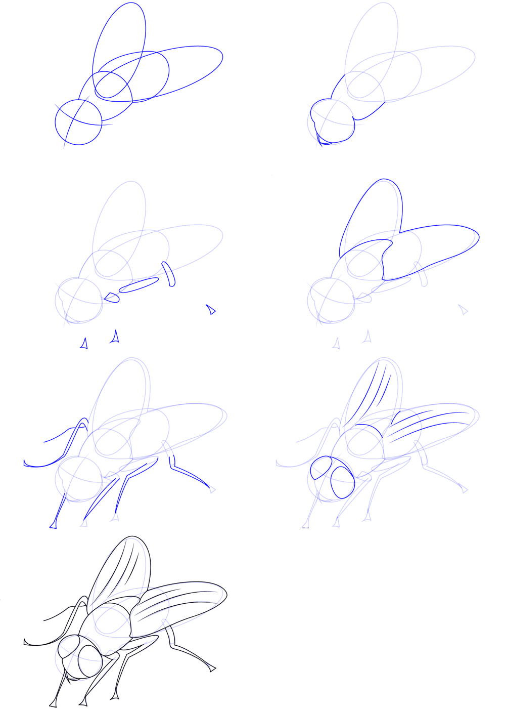 Draw a simple fly Drawing Ideas