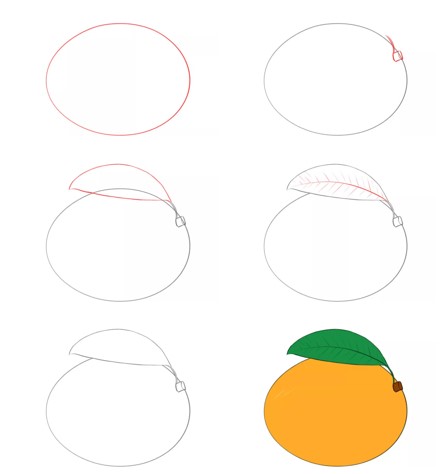 How to draw Draw a simple mango