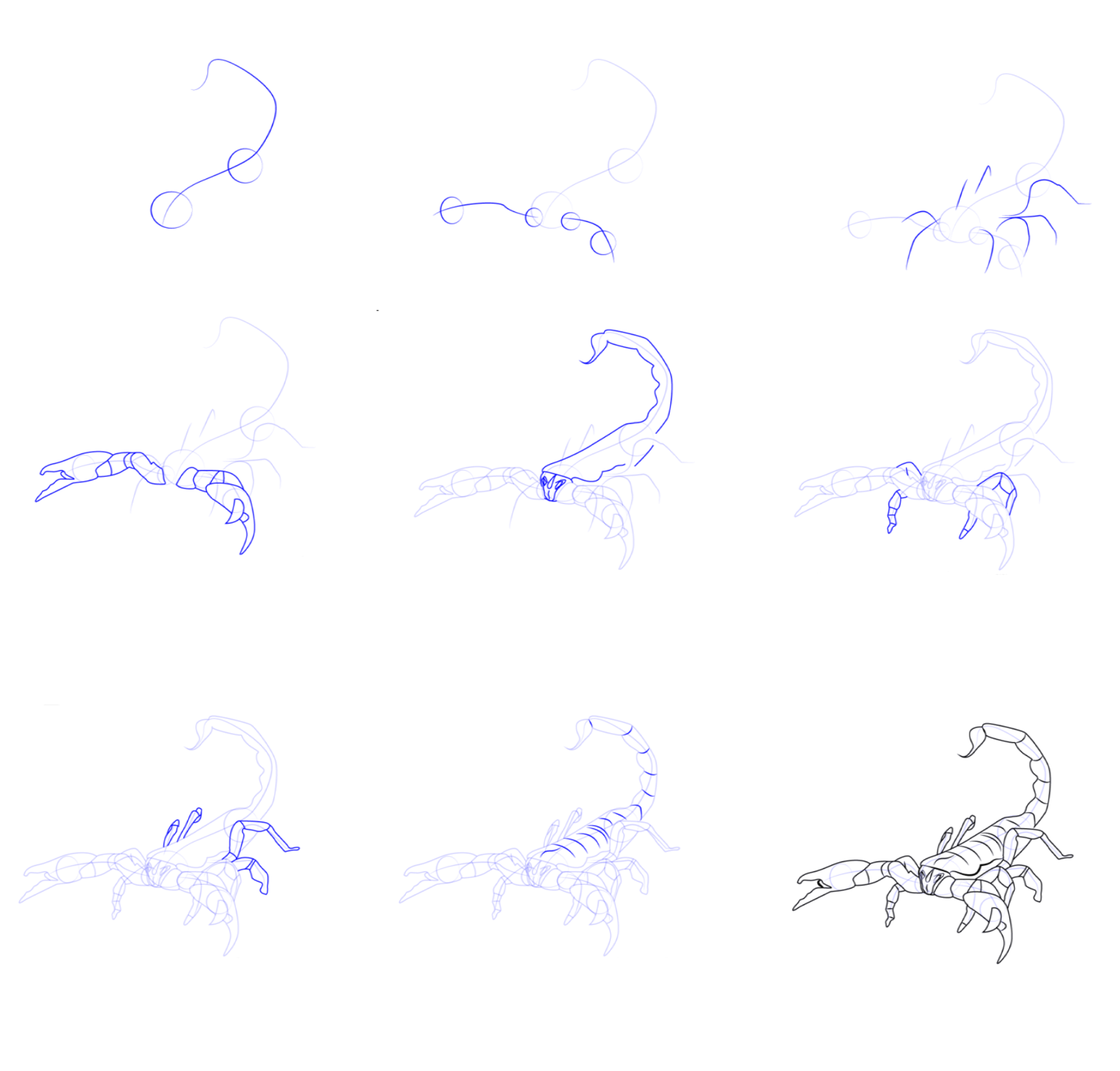 How to draw Drawing a simple scorpion