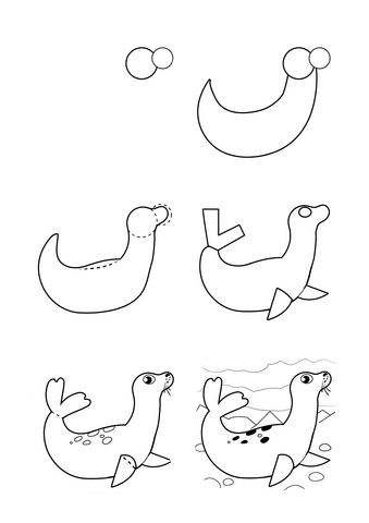 Drawing a simple seal Drawing Ideas