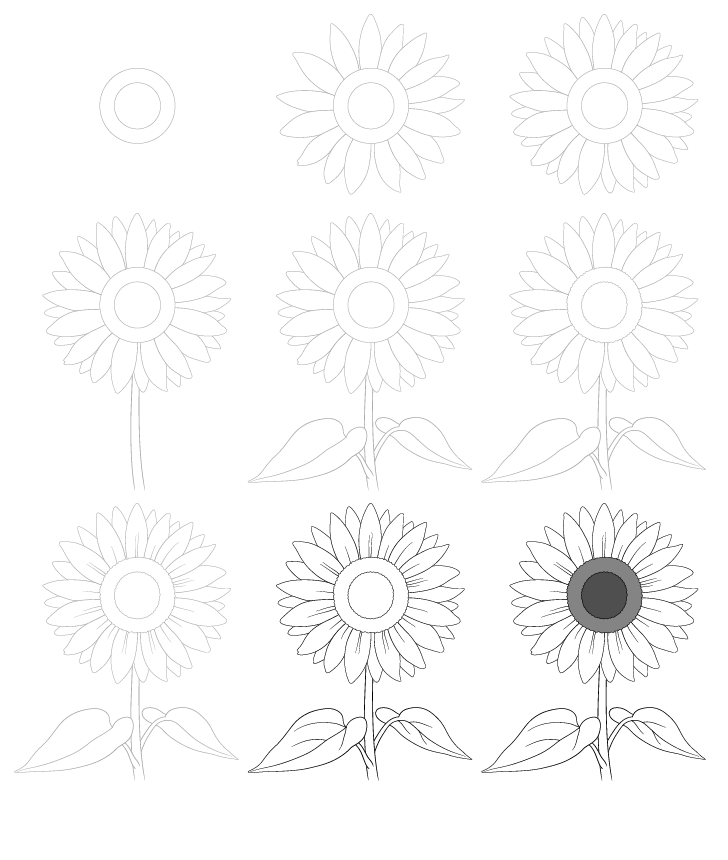How to draw Drawing simple sunflowers (1)